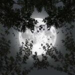 دانلود آهنگ رضا سقایی شومونگی چنی خوعه وا یارات وگردی